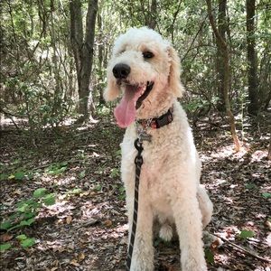 Meet your Posher, Faith